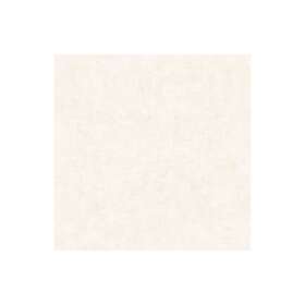 Caselio Beton 2 Uni Metallise/Nacre Beige Nacre BTO101491019