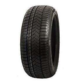 Sunny Tire Wintermax NW211 225/50 R 18 99V