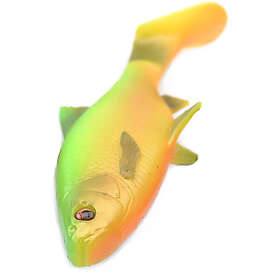 SG 3D LB River Roach Paddletail 22 cm Firetiger 2-pack