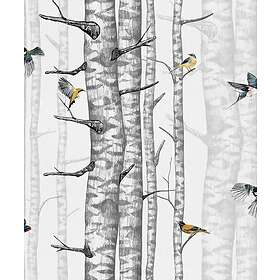 Coordonné Birch Trees Grey 9500040N