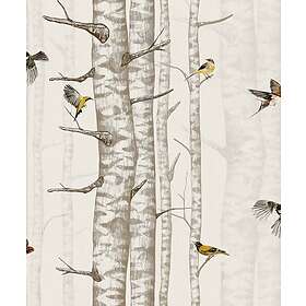 Coordonné Birch Trees Beige 9500041N