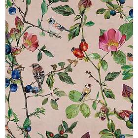 Coordonné Goldfinch Song Blush 9500032N