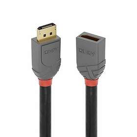 Lindy 36496 DisplayPort kabel 1 m Sort