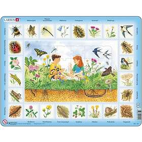 Larsen Lära om Natur & Ängen Bitar
