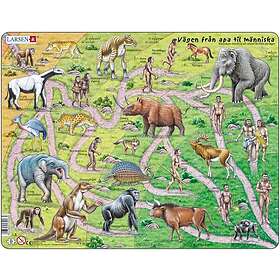 Larsen Vägen från apa till människa