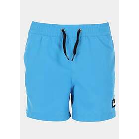 Quiksilver Everyday Volley Shorts (Jr)