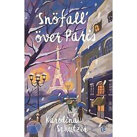 Snöfall över Paris