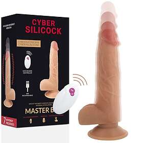 Cyber Silicock Master Ben