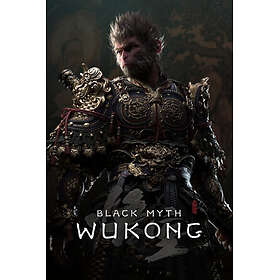 Black Myth: Wukong (PC)
