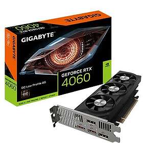 Gigabyte