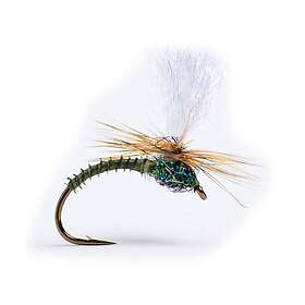 Guideline Klink Dk. Olive Biot 12