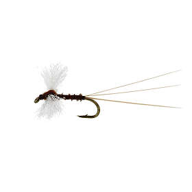 Uniqe Flies Vespertina Spinner Biot Brown TMC100 #18