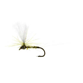 Baetis Uniqe Flies Dun Biot Olive TMC100 #18