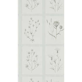 Sanderson Little Thistles Grey Blue DEBB216513