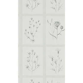 Sanderson Little Thistles Pewter DEBB216512