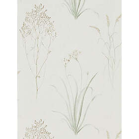 Sanderson Farne Grasses Willow/Pebble DEBB216488