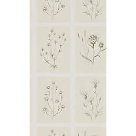 Sanderson Little Thistles Ecru DEBB216511