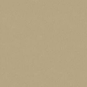 Boråstapeter (avtalsbundna kollektioner) Gold Sand 7579