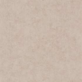 Caselio Beton Uni Taupe Beige Fonce BET101481342