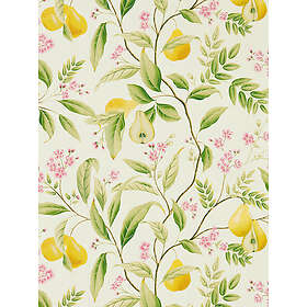 Harlequin Marie HDHW112909