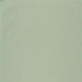 Caselio Uni Natte Metallises Vert Amande Dore NAE101577099