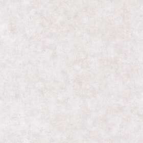 Caselio Beton Uni Gris Clair BET101489301
