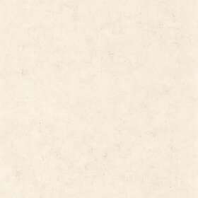 Caselio Beton Uni Taupe Beige Clair BET101481258