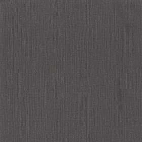 Caselio Uni Natte Gris Anthracite NAE101569582