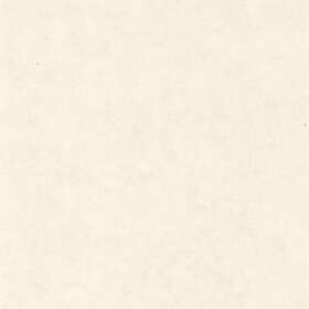 Caselio Beton Uni Blanc Beige BET101480010