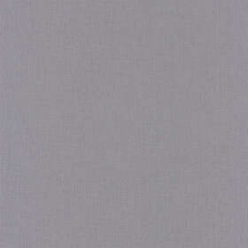 Caselio LINEN UNI GRIS CIMENT FONCE LINN68529743