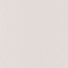 Caselio LINEN UNI GRIS CLAIR LINN68529099