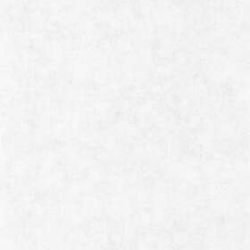 Caselio Beton Uni Gris Clair BET101489000