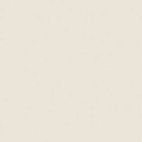 Caselio Uni Mat Blanc 104010000