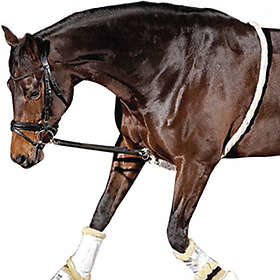 Horse Guard Longeringshjälp Soft HG Svart/Beige