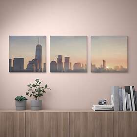 IKEA PJÄTTERYD Tavla 56x56 cm