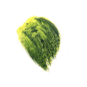 Flyco Grizzly Hackles Olive