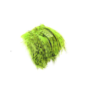 Flyco Grizzly Hackles Chartreuse
