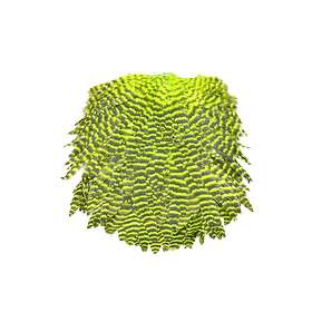 FutureFly Signature Hen Saddle Grizzly Chartreuse