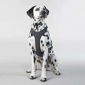 PAIKKA Reflekterande Hundsele, svart S