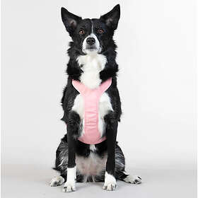 PAIKKA Reflekterande Hundsele, rosa XXL