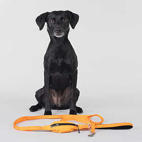 PAIKKA Reflekterande Hundkoppel, orange S