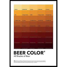 Gallerix Poster 40 Shades Of Beer 70x100 5159-70x100