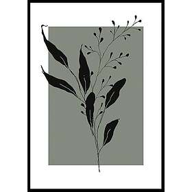 Gallerix Poster Botanical Sketch No1 5509-21x30G