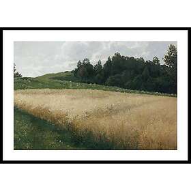 Gallerix Poster Das Haferfeld By Adolf Kaufmann 4962-21x30G