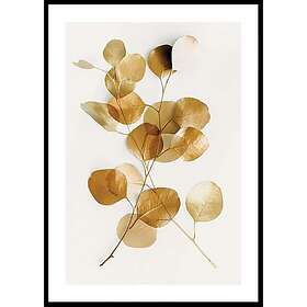Gallerix Poster Eucalyptus Gold No4 50x70 4860-50x70
