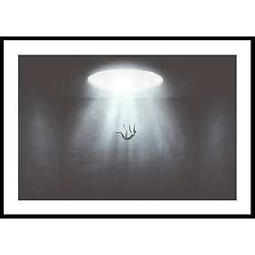 Gallerix Poster Falling From Hole Of Light 50x70 5135-50x70