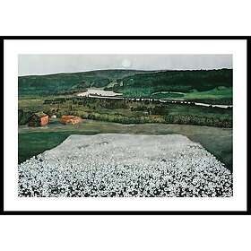 Gallerix Poster Flower Meadow in the North By Harald Sohlberg 50x70 4757-50x70