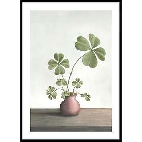 Gallerix Poster Four Leaf Clovers Luck 5195-21x30G