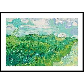 Gallerix Poster Green Wheat Fields Auvers By Vincent van Gogh 50x70 4810-50x70
