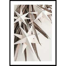 Gallerix Poster Paper Stars 70x100 4859-70x100